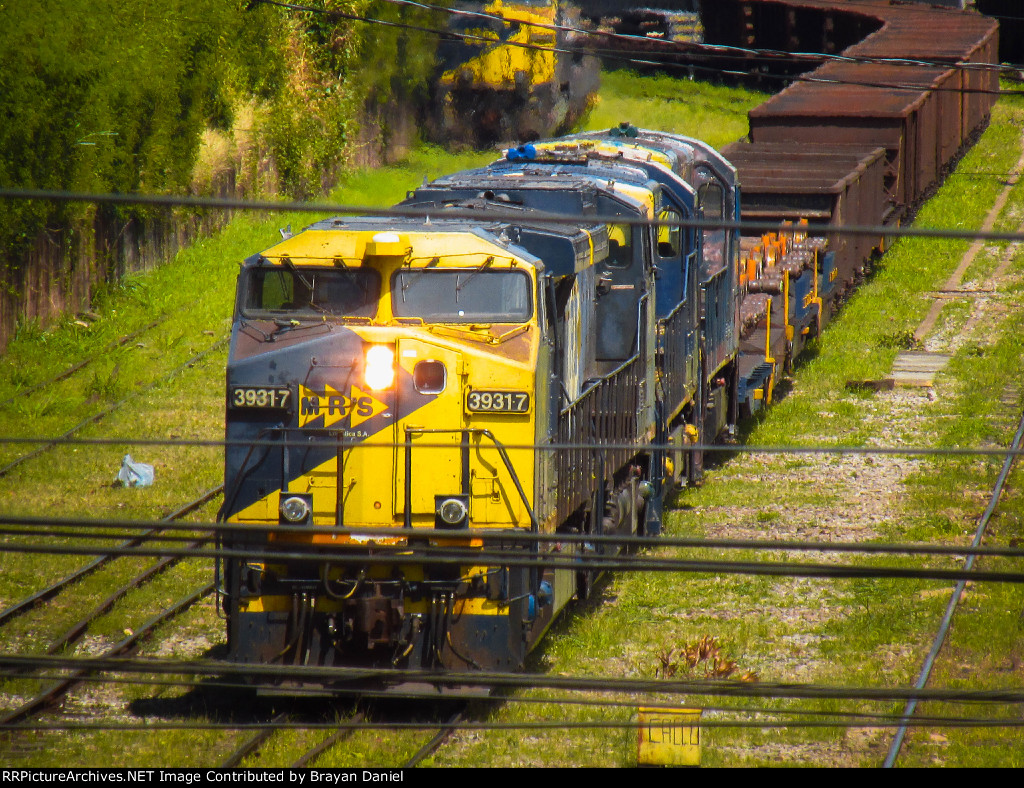 MRSL 3931